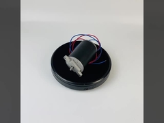 잔디 깎는 기계를 위한 300W 500W 영구 자석 브러시 직류 전동기 고토크 24V 48V