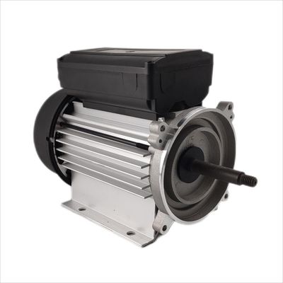 순환 펌프를 위한 300-500W 수중 모터 단일 상 전기 1 에이치피 3000rpm