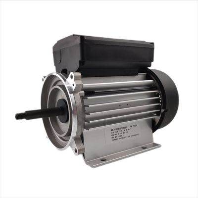 스파와 욕조 펌프를 위한 300-700W 전기적 워터 펌프 모터 단일 상 3000rpm