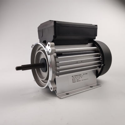 스파와 욕조 펌프를 위한 300-700W 전기적 워터 펌프 모터 단일 상 3000rpm
