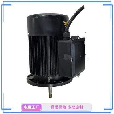 1 HP 단 단계 물 펌프 모터 - 정원과 가정용 에 이상적