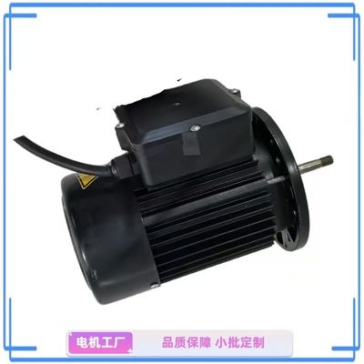 1 HP 단 단계 물 펌프 모터 - 정원과 가정용 에 이상적